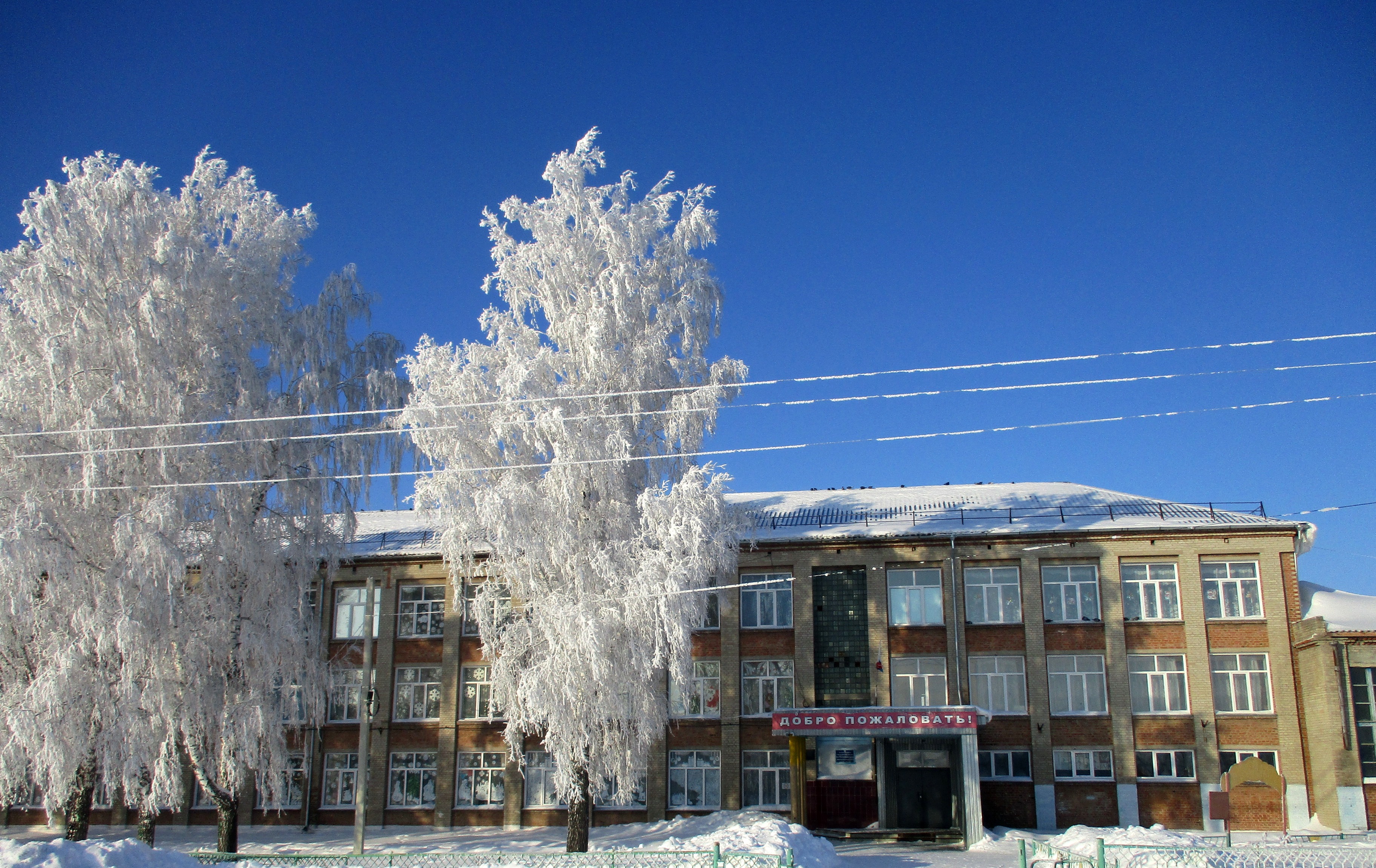 Черепановский район