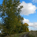 Улица д. Толчино в настоящее время