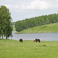 Окрестности села Медведское