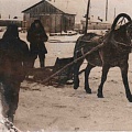 Петрищев Павел Тимофеевич (на лошади).