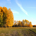 Природа села Гражданцева. Осень