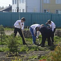 На закладке дубовой аллеи