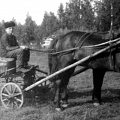 Директор совхоза Юркевич Н.Ф 1951г.